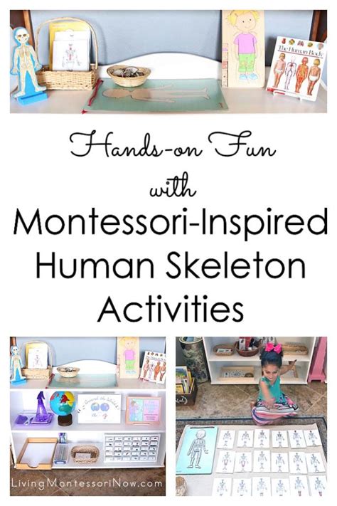 9506 best Montessori-Inspired Activities and Ideas images on Pinterest ...
