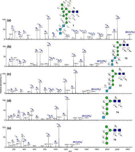 Negative Ion Collisioninduced Dissociation Cid Spectra Of The