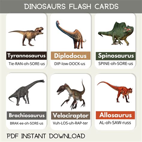 Dinosaur Flash Cards Early Learning Preschool Children Kids Educational