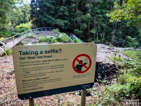 Hiking Springbrook National Park: A waterfall guide | National parks ...