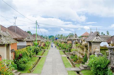 Full Day Kintamani Mt Batur Volcano View Tour GetYourGuide