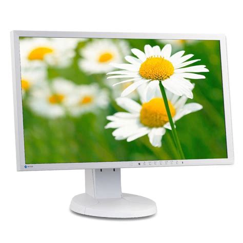 23 Inch Eizo FlexScan EV2316W LED Monitor Grey Back Market