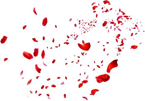 Flower Petals Png Picture Png All