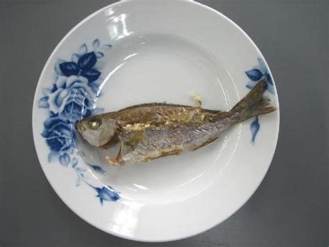 魚のきれいな食べ方（イサキ）／京都府ホームページ