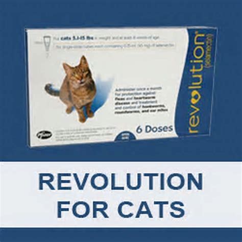 What does REVOLUTION PLUS do for cats? - DIY Seattle