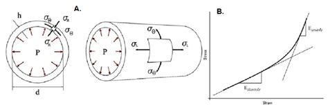 A Radial Stress σ R Longitudinal Stress σ L And Circumferential Download Scientific