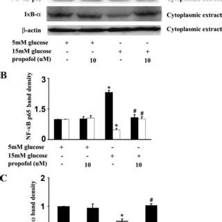 Effects Of Propofol On Mm Glucose Induced Nuclear Factor Kappa B