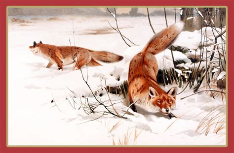 Fox Winter Snow Painting Free Stock Photo - Public Domain Pictures