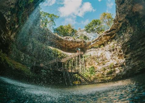 The Ultimate Guide To Cenote Saamal At Selva Maya 2024