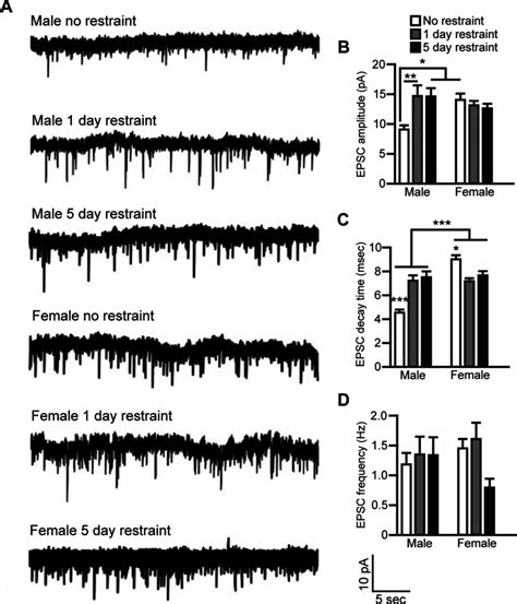 Sex Differences In Electrophysiological Properties And Voltage Gated