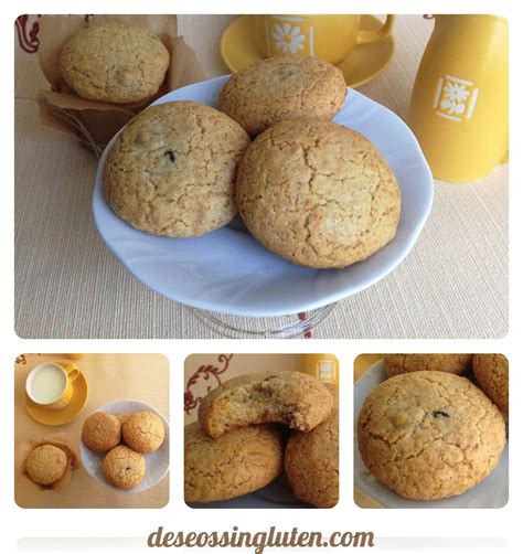 GALLETAS DE QUINOA Y PASAS SIN HUEVO SIN LÁCTEOS Y SIN GLUTEN