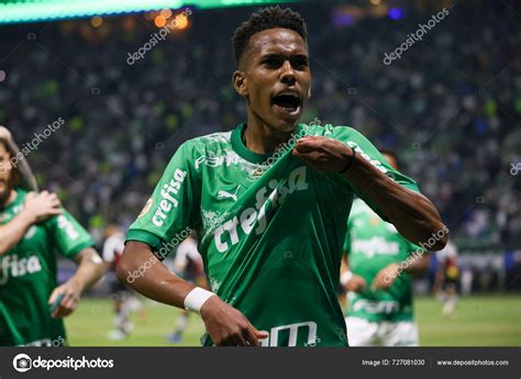 Sao Paulo Partido Brasileiro Palmeiras Junio Allianz Parque