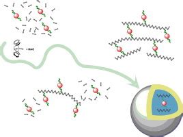 Synthesis And Structural Characterization Of Ethylene Copolymers