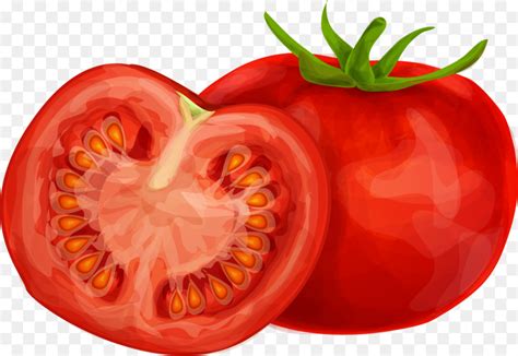 Tomato Drawing Pictures at GetDrawings | Free download