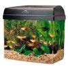 Marineland Eclipse Integrated 12 Gallon Aquarium Is Perfect For