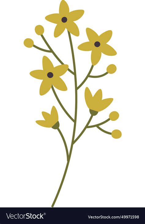 Spring flower plant Royalty Free Vector Image - VectorStock