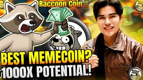 RACCOON COIN X1000 POTENTIAL Meme Coin YouTube