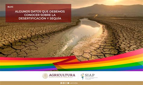 Algunos Datos Que Debemos Conocer Sobre La Desertificaci N Y Sequ A