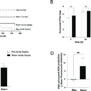 Outcomes For Knockout Mice Rko And Those Producing Human Resistin