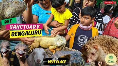 Prani Pet Sanctuary One Day Trip In Bangalore Bangalore Weekend