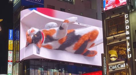 Shinjuku 3d Billboard Immersive 3d Cat And More Unit Led