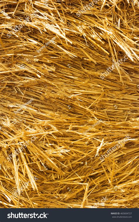 Straw Texture Background Stock Photo 465604727 | Shutterstock