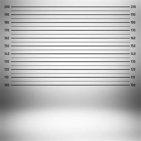 Police Lineup Or Mugshot Background Mugshot Background Mug Shots