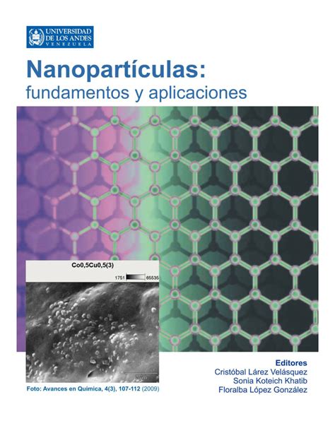 PDF Nanopartículas fundamentos y aplicaciones