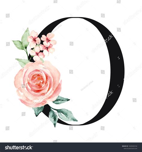 Letter O Flower Alphabet Monogram Watercolor Stock Illustration