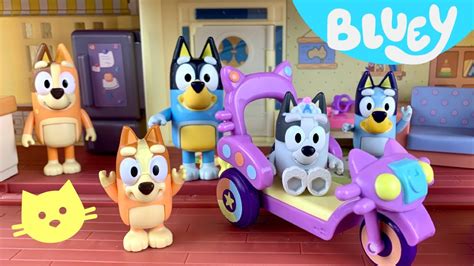 Disney Bluey Toys