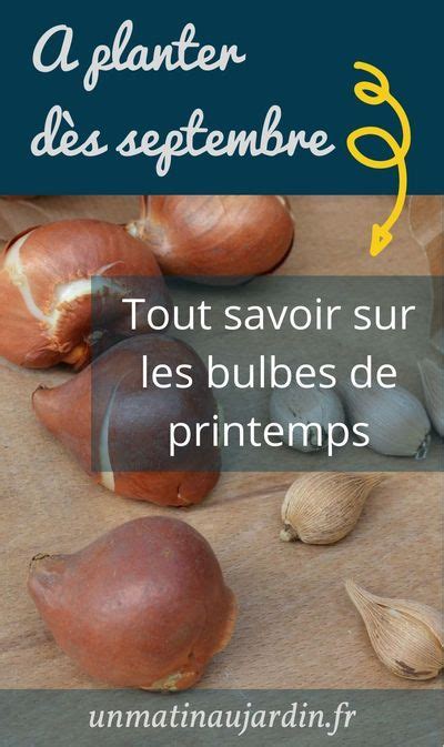 Un Article Complet D Di Aux Bulbes De Printemps Comment Et Quand Les