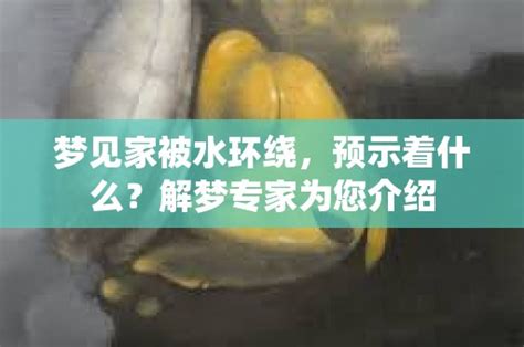 梦见家被水环绕，预示着什么？解梦专家为您 命理解梦