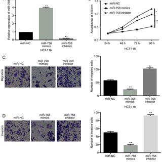 MiR 758 Restrains Cell Viability And Metastasis In CRC A MiR 758