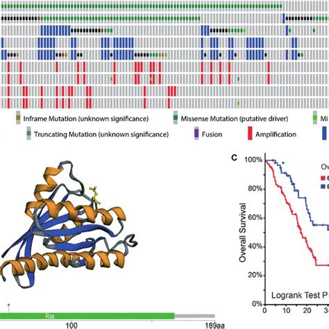 CBioPortal Provides A Framework To Explore Cancer Patient Genomics And