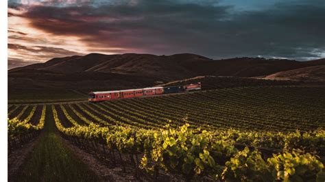 De Monterrey a Torreón Así será el Tren del Vino que pronto será