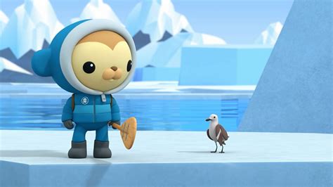 Octonauts Above Beyond Series 1 9 Antarctica Rescue BBC IPlayer