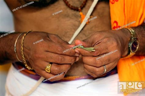 Sri Vadapathira Kaliamman Hindu Temple Hindu Brahmin Priests Stock