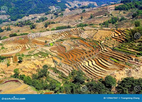 Yuenyang Hani Terrace In Yunnan China Stock Image Image Of Famous