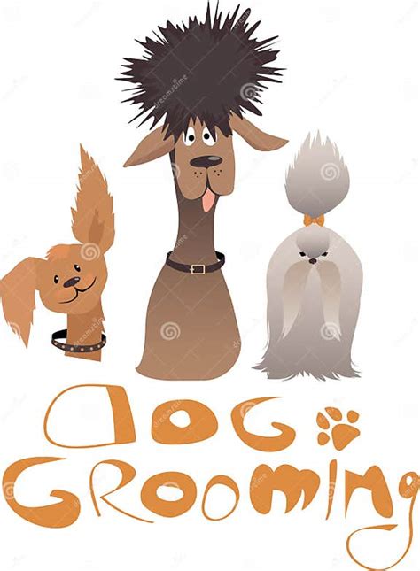 Dog Grooming Stock Vector Illustration Of Health Professional 58231816