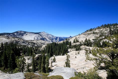 Tioga Pass Road (Route 120): A Beautiful Summer Road Trip | California Through My Lens