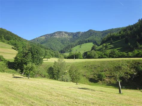 Mountainbike Bad Krozingen Münstertal Branden Tour 101643