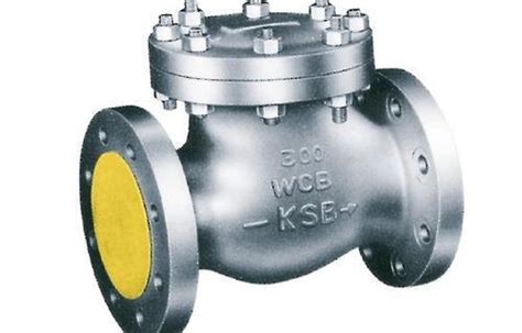 Cast Steel Swing Check Valves At Best Price In Mumbai Hama Engineering