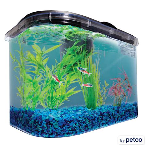 Imagitarium 5 2 Gallon Freshwater Aquarium Petco