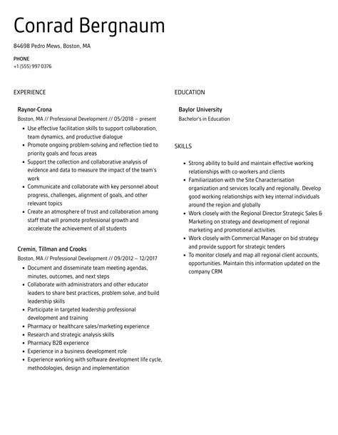 Professional Development Resume Samples | Velvet Jobs