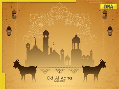 Eid Al Adha 2023 When Is Bakra Eid Know Date Significance Celebration