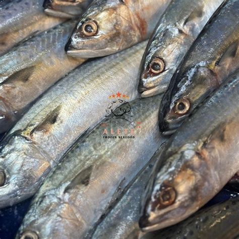 Jual Ikan Kembung Banjar Segar 1Kg Frozen Fresh Shopee Indonesia