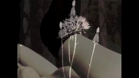 Vidéos erotisme XVIDEOS