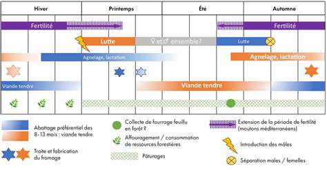 Proposition d un calendrier pastoral du système d élevage ovin à Auriac