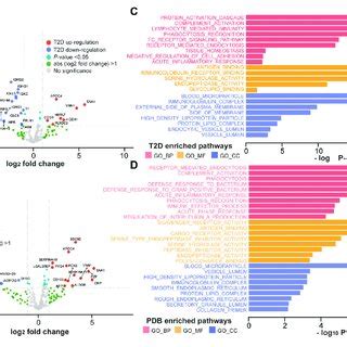 Proteomic Alterations In T2D Patients And PDB Subjects A B