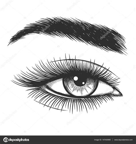 Beautiful Lady Eye Sketch Stock Vector Image By ©vectortatu 147430565